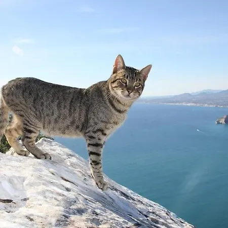 Muralla Roja - Plusholidays カルプ