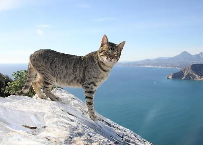 Muralla Roja - Plusholidays Calp